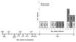 Thumbnail of Timeline of incarceration and isolation of methicillin-resistant Staphylococcus aureus isolates from different patients. Top panel: baseline shows months in which a particular isolate was recovered and patient was identified as infected; y-axis shows number of patients in each clonal group per month during the outbreak period. Bottom panel: horizontal line shows duration in which patients were incarcerated in relation to the outbreak period. Month 0 and month numbers with – and + sy