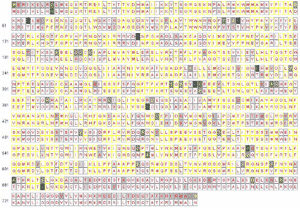 Entropy plot for all 11 influenza proteins for human (top) versus avian (bottom). In each aligned position, we have a consensus residue for 95 avian strains displayed on top, and a consensus residue for 306 human strains at the bottom. Completely conserved amino acid positions are filled with white, while less conserved amino acids are filled in various gray shadings. Positions where one single residue dominates over 90%, less than 90% but greater than 75%, and less than 75% are labeled with red