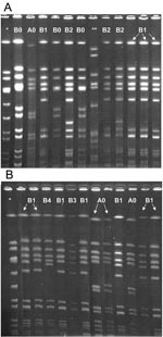 Thumbnail of Pulsed-field gel electrophoresis (PFGE) results for community-associated methicillin-resistant Staphylococcus aureus (MRSA) isolates causing disease. A) Local skin and soft tissue isolates. B) Invasive isolates. *, PFGE control; **, clinical isolate, hospital-associated MRSA.