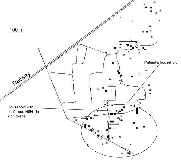 Clustering of 25 households with a high likelihood of avian influenza H5N1 (35%) in chickens, February 27–March 26, 2005, southern Cambodia. White squares indicate visited households without chicken deaths, and black squares indicate households with a chicken flock that was probably infected with H5N1 virus. The cluster is indicated by the circle.