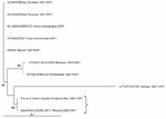 Thumbnail of The maximum likelihood phylogenetic tree for chikungunya nonstructural protein 1 (NSP1) sequences (314 bp) constructed using PAUP* under a transitional model with equal base frequencies with a γ-distributed rate of substitution (i.e., TIM+G), as selected by MODELTEST (version 3.7) under the Akaike information criteria. The bracket shows that the PWH patient NSP1 sequence (DQ489788) clusters most closely with the outbreak La Reunion sequence (LR2006_OPY1_Reunion_2006_NSP1, DQ443544).