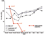 Thumbnail of Evolution of viral load and blood cell counts in a 73-year-old man who had returned from Reunion during the acute phase of chikungunya virus (CHIKV) infection. PMN, polymorphonuclear leukocytes.