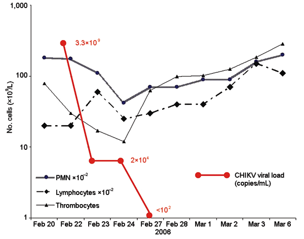 Evolution of viral load and blood cell counts in a 73-year-old man who had returned from Reunion during the acute phase of chikungunya virus (CHIKV) infection. PMN, polymorphonuclear leukocytes.