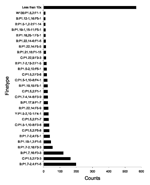 Thumbnail of Distribution of 383 finetypes included in the present study (1,616 patients). The most common finetype (B:P1.7–2,4:F.1–5) accounted for 12.3% of the cases.