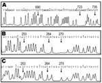 Thumbnail of Molecular identification of formalin-fixed and acetocarmine-stained samples by base excision sequence scanning thymine-base (BESS) T-base analysis. BESS T-base profiles are shown in panels A, B, and C. A) Thymine-base profile using the 112-bp cox1 products from patient samples 3–6. B) and C) BESS T-base analysis data that used 136-bp cob products from scolices with and without hooklets, respectively. Arrows indicate diagnostic positions. Nucleotide sequences indicated above the peaks are from GenBank databases (AB066485 for cox1, AB066570 and AB066580 for cob).