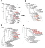 Thumbnail of Phylogenetic relationships of the hemagglutinin (HA) (A), neuraminidase (NA) (B), polymerase basic protein 2 (PB2) (C), and nonstructural (NS) (D) genes of the 7 influenza (H5N1) viruses. Nucleotide sequences were analyzed by using the neighbor-joining method with 100 bootstraps. The HA phylogenetic tree was rooted to the HA gene of A/goose/Guangdong/1/96 (H5N1) virus. The NA phylogenetic tree was rooted to the NA gene of Puerto Rico/8/34 (H1N1) virus. The PB2 and NS trees were rooted to the PB2 and NS genes of B/Lee/40 virus.