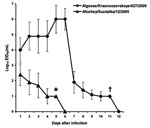 Thumbnail of Replication of influenza (H5N1) viruses in ferret upper respiratory tract. Male 8-month-old outbred ferrets were inoculated intranasally with 106 50% egg infectious dose (EID50) of virus in 0.5 mL phosphate-buffered saline. Virus titers are the mean ± SD from 3 ferrets, expressed as log10 EID50/mL of nasal wash fluid. *Virus was detected in 2 ferrets. †Virus was detected in 1 ferret.