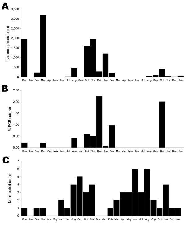 Relationship between reporting of cases of Buruli ulcer (BU) and mosquitoes tested from Point Lonsdale, Australia, December 2004-January 2007. Increased mosquito activity in spring and summer (September-February) appears to be followed by a wave of new reports in autumn and winter (March-August). A) No. mosquitoes tested by month at Point Lonsdale (traps were not set when local reports suggested low mosquito activity). B) Proportion of tested mosquitoes positive by PCR for Mycobacterium ulcerans by month. C) No. of new cases of BU epidemiologically linked to Point Lonsdale by month.