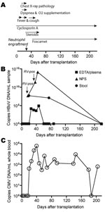 Thumbnail of Timeline of clinical and virologic features posttransplantation. A) Main clinical events and therapeutic measures. B) Human bocavirus (HBoV) DNA load measured by real-time PCR; 1 mL stool suspension corresponds to 20 mg starting material. Nasopharyngeal samples (NPS) also positive for rhinovirus (RV) RNA by multiplex PCR are indicated by arrows. C) Copies of cytomegalovirus (CMV) DNA measured in blood by real-time PCR. NPSC3.1 plasmid (positive control for PCR) was provided by T. Allender.