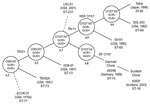 Thumbnail of Evolution model for Escherichia coli O157:H7. Figure modified and updated from (1) to include the sequence type (ST) data showing subclones within clonal complexes. Some strains, whose position on the model remains to be determined, are shown with dashed lines.