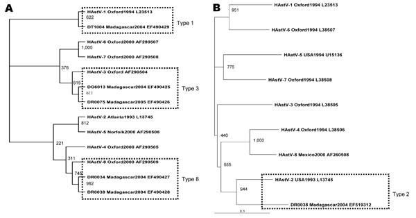 Phylogenetic tree of human astrovirus (HAstV) based on the 289-base region of the open reading frame (ORF) 1a gene (A) and the 413-base region of the ORF2 gene (B). We included 6 novel sequences designated according to isolate code_place/year_GenBank accession no. A) DG6013_Madagascar2004_EF490425, DR0075_Madagascar2005_EF490426, DR0034_Madagascar2004_EF490427, DR0038_Madagascar2004_EF490428, DT1004_Madagascar2004_EF490429; B) DR0038_Madagascar2004_EF519312. We also included 16 sequences of reference astrovirus strains obtained from GenBank, designated according to HAstV genotype_place/year_GenBank accession no.: A) HAstV-1_Oxford1994_L23513, HAstV-2_Atlanta1993_L13745, HAstV-3_Oxford_AF290504, HAstV-4_Oxford2000_AF290505, HAstV-5_Norfolk2000_AF290506, HAstV-6_Oxford2000_AF290507, HAstV-7_Oxford2000_AF290508, HAstV-8_Oxford2000_AF290509; B) HAstV-1_Oxford1994_L23513, HAstV-2_USA1993_ L13745, HAstV-3_Oxford1994_L38505, HAstV-4_Oxford1994_L38506, HAstV-5_USA1994_U15136, HAstV-6_Oxford1994_L38507, HAstV-7_Oxford1994_L38508, HAstV-8_Mexico2000_AF260508. Bootstrap values based on 1,000 generated trees are displayed at the nodes.