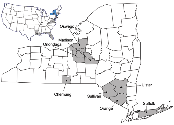 A) United States map showing locations of eastern equine encephalitis virus strains sequenced in this study. New York State (NY) highlighted in blue; New Jersey (NJ), Virginia (VA), Florida (FL), Louisiana (LA) highlighted in gray. Map courtesy of www.theodora.com/maps, used with permission. B) New York counties where eastern equine encephalitis virus (EEEV) strains have been located (shaded). Dotted box indicates focus of most EEEV activity.