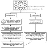 Thumbnail of Diagram of the cell culture and shotgun harvest assay for Chlamydia trachomatis clinical strains propagated in McCoy cells. Serial dilutions of each clinical sample were used for inoculating wells 1 to 6. IAO, initial agarose overlay; FAO, final agarose overlay.