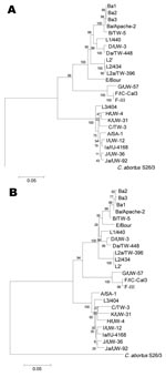 Thumbnail of Neighbor-joining trees representing evolutionary relatedness of the 19 reference strains, Chlamydophila abortus and 5 clonal variants based on ompA nucleotide (A) and amino acid (B) sequence alignments. The trees were constructed from ClustalW 1.8 alignment (www.ebi.ac.uk/Tools/clustalw2/index.html), and the values at the nodes are the bootstrap confidence levels calculated from 1,000 bootstrap resamplings. See Materials and Methods for details.