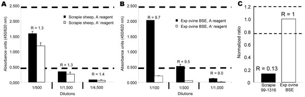 Determination of the A/A’ ratio. A dilution series was assayed for each analyzed sample to determine the optimal range that would permit precise determination of the A/A′ratio (absorbance ranging from 0.5 to 2.5 absorbance units in A reagent). A) A/A′ratio is close to 1 for PK-resistant prion protein (PrPres) associated with classic scrapie strains (manual protocol, see Experimental Procedures) and B) close to 10 for experimental ovine bovine spongiform encephalopathy (BSE)–associated PrPres. C) To minimize interassay variations, the ratio obtained for each sample is thus normalized by dividing by the ratio obtained for the ovine BSE sample.