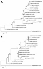 Thumbnail of Phylogenetic relationships among the hemagglutinin 3 (H3) genes. A) Nucleotide tree of the canine influenza virus H3 genes with contemporary and older equine H3 genes. B) Amino acid tree of the canine influenza virus H3 protein with contemporary and older equine H3 proteins. Bootstrap analysis values &gt;80% are shown. Scale bar indicates nucleotide or amino acid substitutions per site.