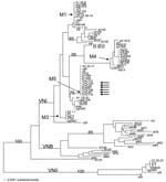 Thumbnail of Genetic relationship of multilocus sequence typing (MLST) genotypes among 94 isolates of Cryptococcus neoformans serotype A (88 strains from Litvintseva et al. [10]) and 6 representative Chinese strains) visualized by the neighbor-joining dendrogram. Numbers on each branch indicate the bootstrap values &gt;50%, based on 500 replicates. Vertical lines represent strains with identical genotypes. Arrows indicate MLST results for Chinese strains.