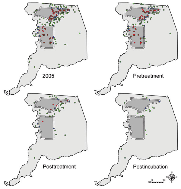 Locations of treated areas and human cases of West Nile virus by temporal classification, Sacramento County, California, 2005. Shown are treated areas (dark gray), surrounding 0.8-km buffers (thin regions around dark gray areas), untreated areas (light gray), and location of human cases within each of these regions (red, blue, and green circles, respectively). For display purposes, we used the NAD83 HARN California II State Plane coordinate system (Lambert Conformal Conic projection).