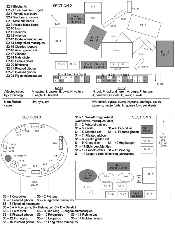 Map of the 3 main sections of the Phnom Tamao Wildlife Rescue Centre, Cambodia, during outbreak of highly pathogenic avian influenza virus (H5N1), December 15, 2003–January 13, 2004. Shaded areas indicate contaminated cages (labeled with date of outbreak). NA, exact cage not available.