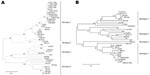 Thumbnail of Phylogenetic trees constructed on the basis of A) 240 nucleotides, RdRp region, from open reading frame (ORF) 1, and B) 311 nucleotides from ORF2. Each tree was generated by using the neighbor-joining method; the distance matrix was calculated by using the Kimura 2-parameter method. The robustness of the trees was determined by bootstrap for 1,000 replicates. Values &gt;70% are shown at the nodes. The major branches represent hepatitis E virus genotypes. Scale bar indicates 0.05 substitutions per nucleotide position.