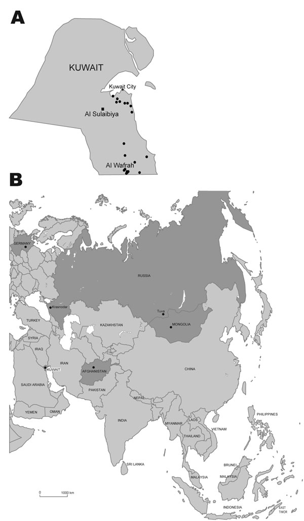 A) Kuwait, with location of subtype H5N1 virus outbreaks in 2007. Circles indicate location of farms with confirmed influenza (H5N1) infections in poultry; square indicates the Al Sulaibiya area where virus isolation was conducted. B) Eurasia, with location of subtype H5N1 isolates phylogenetically related to Kuwait isolates.