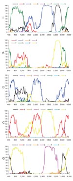 Thumbnail of Bootscan analysis of genotypes I, A, B, C, and G compared with genotypes A–H. Data points correspond to the center of sequence windows of 800 bp. For the analysis of the first 400 nt, the beginning of the genome was duplicated at the end of the sequence: nt 3200–4000 represent positions 0–800.