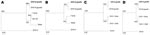 Thumbnail of Phylogenic trees of giraffe herpesvirus and other related viruses. A) Open reading frame (ORF) 30, B) ORF33, C) ORF71, and D) ORF72. EHV-9 giraffe, equine herpesvirus (EHV) type 9 isolated from reticulated giraffe (5) (AB453826); EHV-9 gazelle, EHV-9 isolated from a Thomson’s gazelle in Japan (3) (AP010838); T-616, EHV-1 isolated from a zebra fetus in the United States (EU087295); 94-137, EHV-1 isolated from a Thomson's gazelle in the United States (EU087297); Ab4p, EHV-1 isolated from horses (AY665713); EHV-4, EHV-4 isolated from horses (AF030027). Accession numbers of the sequences are AB439722 for ORF30, AB439723 for ORF33, AB453825 for ORF71, AB453826 for ORF72 of giraffe herpesvirus (DNA Data Bank of Japan, National Institute of Genetics, Japan), and AP010838 for EHV-9 genome sequence (H. Fukushi, unpub.data). Boldface indicates the sequence of EHV-9 derived from the giraffe. Scale bar indicates nucleotide substitutions per site.