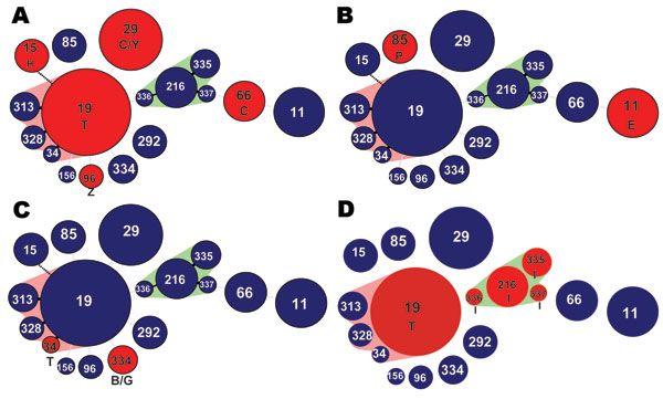 Minimum spanning trees depicting integron distribution across Salmonella enterica genetic lineages. <!-- INSERT SHAPE -->A) dfrA12/orfF/aadA2; B) dfrA7; C) dfrA1/aadA1; D) arr2/blaOXA30/cmlA5/aadA2. Circles represent unique sequence types (STs). Red circles represent the STs that carried the integron involved in horizontal gene transfer. Numbers in circles represent the ST. Circle size reflects number of isolates in each ST. Pink and green shading indicates closely related groups of isolates. Le