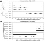 Thumbnail of Nearest-neighbor relatedness of rhinovirus CL-013775 (and CL-073908) along the 5′ untranslated region/VP4/VP2 region (A), and nearest-neighbor relatedness of rhinovirus CL-135587 along the complete genome (B), identified by bootscanning. At each position of a sliding window, the solid circles indicate the closest relative within a defined threshold of the phylogenetic distance to CL-013775 (A) and CL-135587 (B). Both panels show phylogenetic trees of analyzed serotypes over the enti