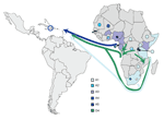 Thumbnail of Distribution of hepatitis B virus A subgenotypes and D4 (only in Rwanda) in Africa and their potential routes of spread toward Haiti (color-coded arrows). Colored dots indicate African countries with &lt;10 A strains available; full color indicates countries with &gt;90% dominance of 1 subgenotype; or a 60%–90% predominance of 1 subgenotype, with minority subgenotypes shown as diamonds. Subgenotypes other than A1 and D4 are not shown for Rwanda. Sequences included were obtained from