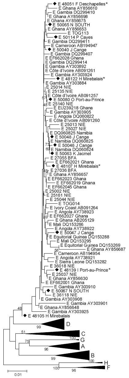 Phylogenetic analysis of selected sequences clustering with genotype E, based on the S fragment, including potential mixed or recombinant strains (*). Diamonds indicate Haiti sequences.