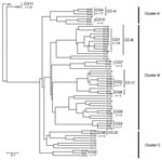 Thumbnail of Dendrogram created by the unweighted pair group method with arithmetic mean method based on the 62 allelic profiles of 194 Legionella pneumophila serogroup 1 isolates. Clonal groups (CGs) identified by eBURST (http://eBURST.mlst.net) are indicated with solid lines, and STs included in CGs are in boldface. Ontario STs included in clonal complexes (CC) identified by comparative eBURST analysis with the European Working Group for Legionella Infections database are indicated with dashed