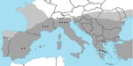 Thumbnail of Reported cases of leishmaniasis in patients with autoimmune rheumatic diseases in Europe, indicated by stars (1 case from Israel not shown). Dark gray shading, distribution of leishmaniasis; light gray shading, distribution of leishmaniasis vector sandfly. Source: World Health Organization, 2004 (www.who.int/tdr/svc/publications/tdr-research-publications/swg-report-leishmaniasis).