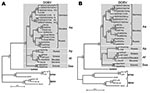 Thumbnail of Maximum-likelihood (ML) phylogenetic trees of Dobrava-Belgrade virus (DOBV) based on partial small (S) segment nucleotide sequences of 559 nt (position 377–935) (A) and complete nucleocapsid protein coding nucleotide sequences (S segment open reading frame) (B). The ML trees (Tamura-Nei evolutionary model) were calculated using TREE-PUZZLE package (www.tree-puzzle.de). Scale bars indicate an evolutionary distance of 0.1 substitutions per position in the sequence. Values above the br