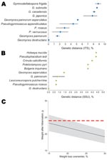 Thumbnail of Genetic distance between fungus A) internal transcribed spacer (ITS) (474 nt) and B) small subunit (SSU) rRNA (1,865 nt) gene sequences and other closely related fungus species present in GenBank. Results are based on pairwise sequence comparisons with gaps and missing data removed. Error bars in panels A and B indicate mean ± SD. C) Estimation of weight of Myotis myotis bats after hibernation as a function of the range of percentage of weight loss reported. Posthibernation of a bat