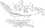 Thumbnail of Location of districts in Central Java, Indonesia, where ducks and in-contact chickens were monitored bimonthly for avian influenza (H5) during March 2007–March 2008.