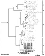 Thumbnail of Phylogenetic relationship of Crimean-Congo hemorrhagic fever virus (CCHFV) full-length small (S) segments. Phylogenetic analysis used 47 full-length CCHFV S segments available in GenBank. GARLI (v0.96b8) (9) with default settings was used to generate a maximum-likelihood tree with bootstrap support values from 1,000 replicates. From the analysis, a 50% majority-rule tree was constructed. Virus strains from Sudan patients 1, 2, 3, 6, 7, 8, and 9 (GenBank accession no. GQ862371) were