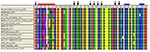 Thumbnail of Schematic of lymphocytic choriomeningitis virus (LCMV) Z open reading frame.
The N-terminal myristoylation site (31), RING motif, and late domains are all highly conserved among the LCMV strains analyzed. Unexpectedly, the Z protein of the H935_Georgia_1984 virus strain is 1 aa longer than all the others.