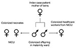 Thumbnail of Spread of extended-spectrum β-lactamase–producing Escherichia coli outbreak. NICU, neonatal intensive care unit.