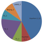 Thumbnail of Final cluster results in a study of the molecular epidemiology of Mycobacterium tuberculosis, by spoligofamily, Buenos Aires, Argentina, June 1, 2006–April 30, 2007.