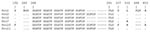 Thumbnail of Amino acid sequence of pertactin (Prn) of Bordetella pertussis from China. Numbering is relative to the first methionine of Prn1. Dots represent identical sequences and dashes represent deletions. The RGD (arg-gly-asp) motif implicated in adherence to host receptors is indicated.