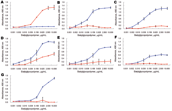 Receptor-binding activity of influenza A (H5N1) viruses. Direct binding of viruses to sialylglycopolymers containing either α2,3-linked (blue) or α2,6-linked (red) sialic acids was measured. A) Human isolate A/Kawasaki/173/2001; B) avian isolate A/chicken/Central Java/UT3091/2005; C) swine isolate A/swine/Banten/UT3081/2005; D) swine isolate A/swine/Banten/UT3062/2005 clone 6; E) swine isolate A/swine/Banten/UT3063/2005 clone 1; F) swine isolate A/swine/East Java/UT6012/2007; G) swine isolate A/