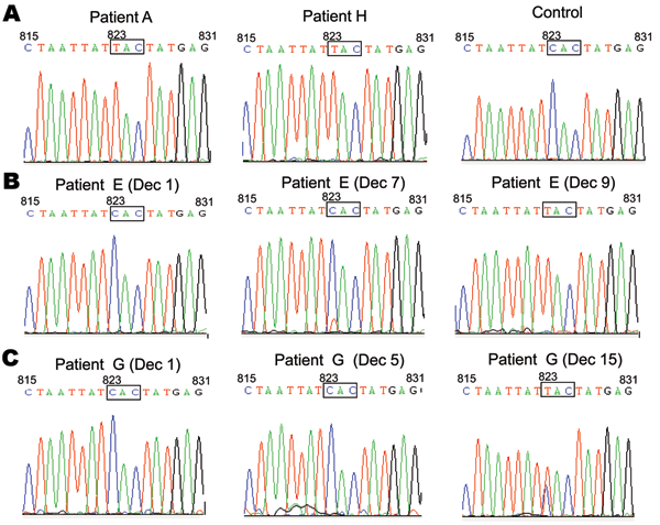 Evolution of oseltamivir-sensitive H275 in pandemic (H1N1) 2009 virus to oseltamivir-resistant virus (mutation Y275) in the neuraminidase (NA) gene, South Korea. A) NA sequences of viruses from patient A, patient H, and strain A/Korea/01/2009 (H1N1) (Control) (Table 2). Viruses from these 2 patients had triplet TAC (encoding tyrosine in NA 275), indicating that these patients were infected with oseltamivir-resistant virus, in contrast to A/Korea/01/2009 (H1N1) of the oseltamivir-sensitive contro