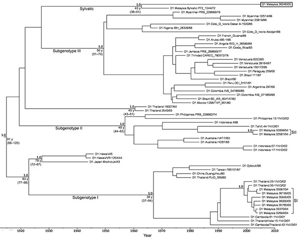 Maximum clade credibility tree of complete envelope genes of dengue virus type 1 (DENV-1) isolates. Horizontal branches are drawn to a scale of estimated year of divergence. Coalescent times with 95% highest posterior density values (ranges in parentheses) and posterior probability values (all 1.0) of key nodes are shown. Patient convalescent-phase serum samples used for neutralization assays from which virus was isolated are indicated at the end of branches according to their virus groups. Box