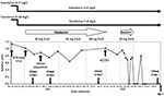 Thumbnail of Schematic showing events surrounding oseltamivir-resistant pandemic (H1N1) 2009 virus infection in 3-year-old immunocrompromised child, Italy, in relation to viremia levels, expressed as relative units of influenza A RNA, normalized with respect to the housekeeping gene RNaseP.