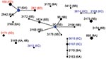 Thumbnail of eBURST analysis of 134 strains of Streptococcus pneumoniae serogroup 6. Serotypes are indicated in parentheses. Circle size correlates with number of strains of each sequence type. Blue circles indicate predicted founders (original sequence types within the cluster). Serotype 6D is shown in red, serotype 6C in blue.