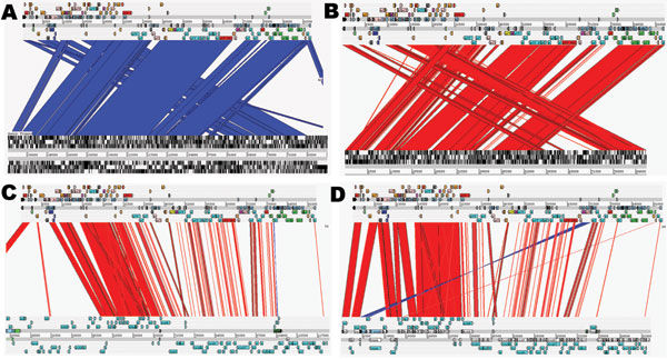 Artemis Comparison Tool (Sanger, Cambridge, UK) comparisons of IncK plasmid (pCT) with other plasmids. Complete DNA sequence plasmid comparisons. Bands of color indicate homology between sequences. Red lines show sequence in the same confirmation; blue lines indicate sequence inversion. The pCT sequence is represented as the top line of each comparison compared with pO26_vir (GenBank accession no. FJ38659) (A); R387 (B); R64 (accession no. AP005147) (C); and pEK204 (accession no. EU935740) (D) o