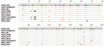 Thumbnail of Partial DNA sequence alignment of the hemagglutinin gene. Case-patient 1’s isolate sequence is displayed at the top (2008–025). Dots in the alignment indicate identical nucleotides at that position. The reference sequences shown: current smallpox vaccine strain (VACV_ACAM2000), a commonly used laboratory vaccinia strain (VACV_WR), Dryvax vaccinia strains (VACV_Duke and VACV_3737), natural Brazilian vaccinia isolates (VACV_BeAn and VACV_Cantagalo), a 2003 US monkeypox outbreak isolat