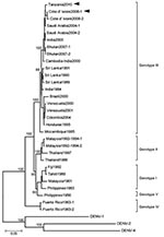 Thumbnail of Phylogenetic tree based on the envelope genome sequence of selected dengue virus type 3 (DENV-3) strains. The tree was rooted to DENV-1, DENV-2 and DENV-4. Multiple sequence alignments were performed, and the tree was constructed by using the neighbor-joining method. The percentage of successful bootstrap replication is indicated at the nodes. DENV-3 genotypes are indicated on the right. The isolated DENV-3 strains, D3/Hu/Tanzania/NIID08/2010 strain (Tanzania2010) and D3/Hu/Côte d'I