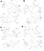 Thumbnail of Neighbor-joining unrooted trees based on the full-length genome (A), E2 (B), 5′ untranslated region (C), and Npro (D) sequences of members of the genus Pestivirus. For phylogenetic tree construction, pestivirus sequences listed in the Table were used. Asterisks indicate strong statistical support for a node by a bootstrap value of 75%–100%. Scale bars represent estimated numbers of nucleotide substitutions per site. CSFV, classical swine fever virus; BVDV-1, bovine viral diarrhea vi